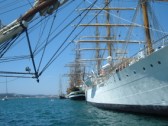 tall ship race 2