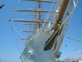 tall ship race 3