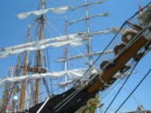 tall ship race 4