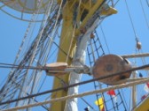 tall ship race 5