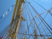 tall ship race 6